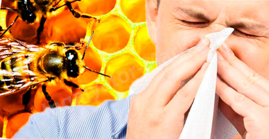 Можно ли при аллергии делать ингаляцию